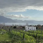 Vigna Delle Rose Trecase