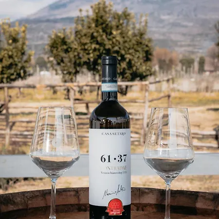 Vigna Delle Rose Κατάλυμα σε φάρμα Trecase