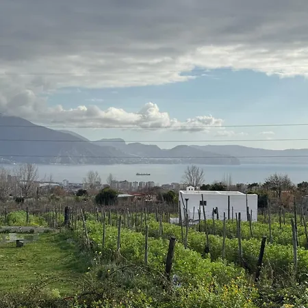 Vigna Delle Rose Trecase