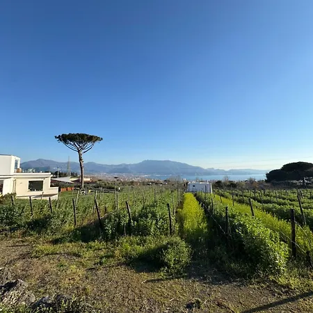 Farm stay Vigna Delle Rose *