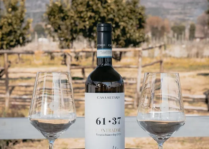 Vigna Delle Rose Çiftlik konaklama Trecase