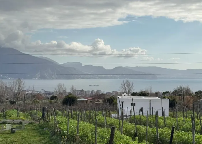 Vigna Delle Rose Trecase