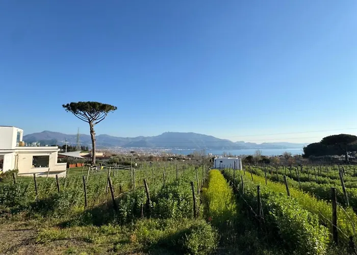 Çiftlik konaklama Vigna Delle Rose *